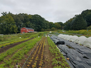 Hunter Hill CSA