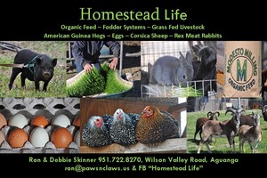 Homestead Life