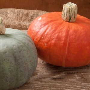 Farmers Fresh CSA