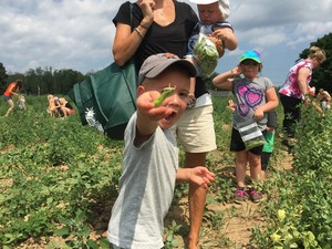 Wickham Farms