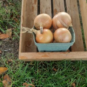 Full Circle Farm