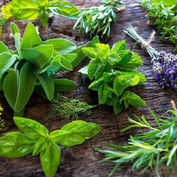 fresh herbs
