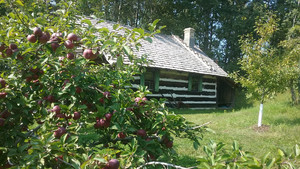Log Cabin Orchard