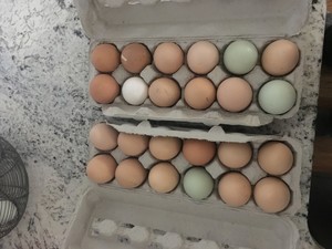 Love Handle Farm