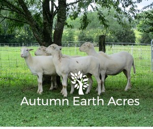 Autumn Earth Acres