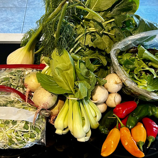 Central Texas Farmers Co-op