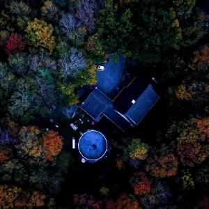 Bender Hill Maple