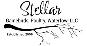 Stellar Game Birds, Poultry, Waterfowl LLC