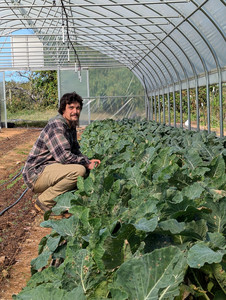 Gathering Springs Farm