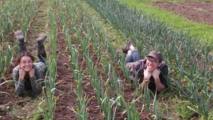 Dirt Rich Farm