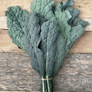 Bountiful Blessings Farm