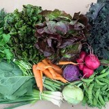 The Natural Trading Company CSA