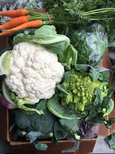 Full Circle Farm