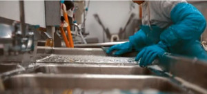 Jotts Kitchen Enterprises® (A Food & Beverage Co.) et al. divisions