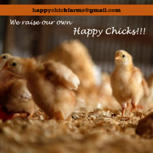 Happy Chick Farms