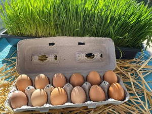 La'Cour Family Farms