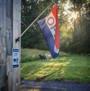 Scuttleship Farm