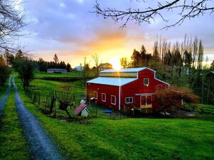 Sunrise Farm LLC