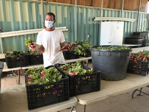 Sage Mountain Farm