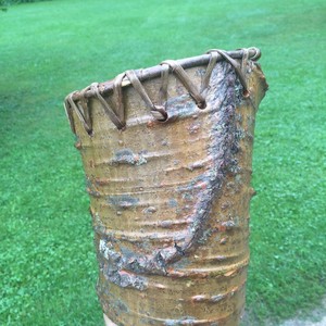 Earth's Baskets