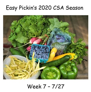 Easy Pickin's Orchard