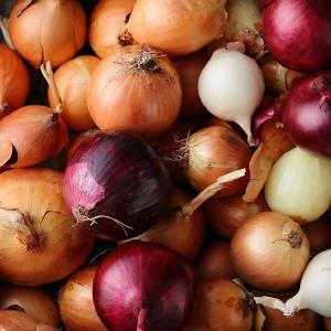 Harvest Tide Organics