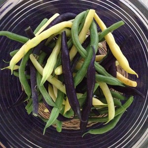 Inyoni Organic Farm