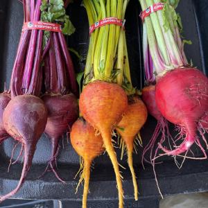 JR Organics