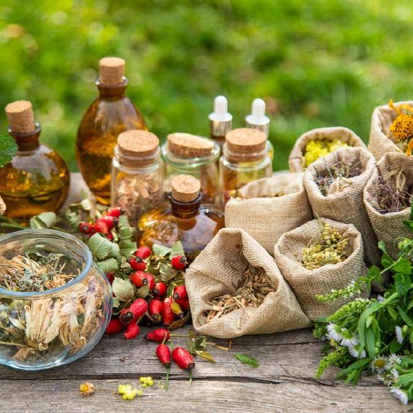 medicinal herbs