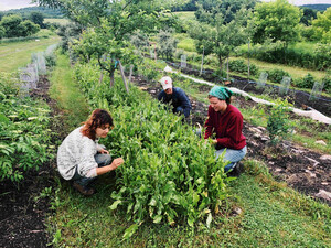 Unadilla Community Farm