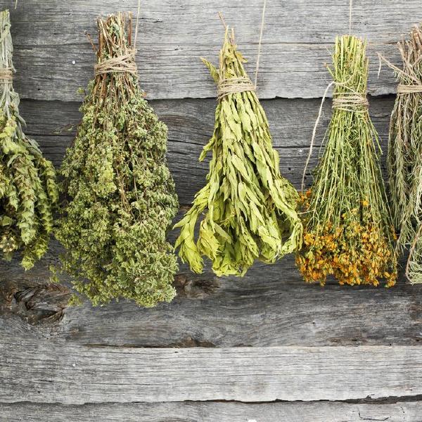 dried herbs
