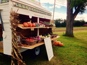Stewardship Farms