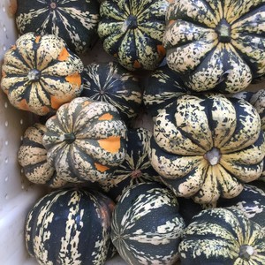 Eatwell Farm