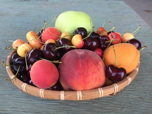 Tonnemaker Family Orchard