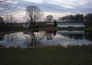 Fichter Farm
