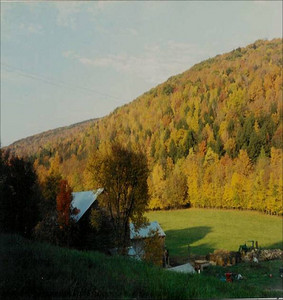 Sap Bush Hollow Farm, Cafe & CSA