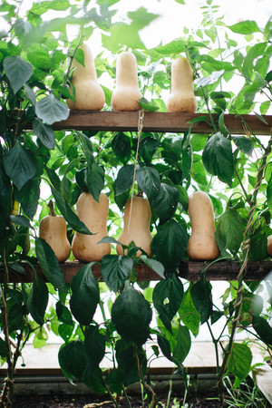 Philadelphia Community Farm