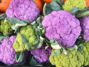 Down to Earth Park Slope Farmers Market
