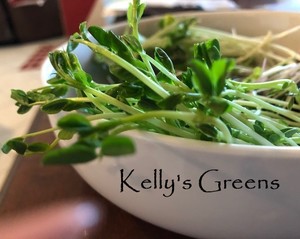 Kelly's Greens, LLC - Wheatgrass and Microgreens