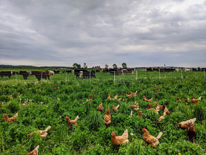 Riemer Family Farm