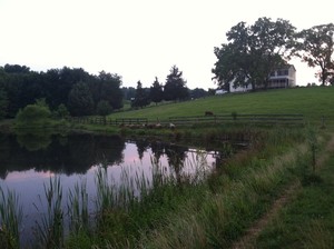 Walnut Hill Farm at Elm Springs, LLC