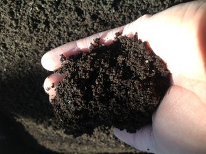 Zippy's Worm Farm