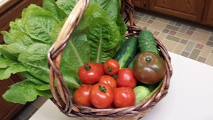 Mostly Green Acres