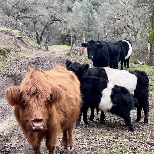 Rainbow River Ranch