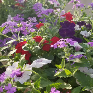 Kirby's Farm Market