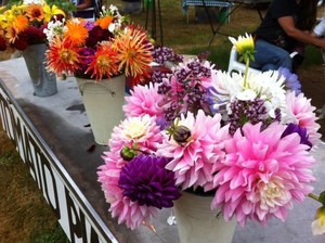 South Whidbey Tilth Farmers Market