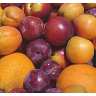 Good Box Organics