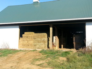 Castle Hill Farm -- For Sale -- square bales of hay & straw, plus aged sheep compost