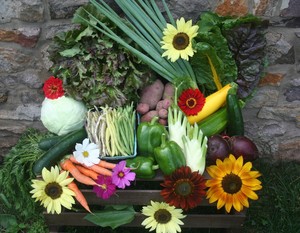 Sandbrook Meadow Farm