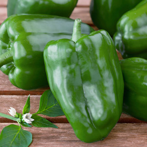 Harlequin Produce
